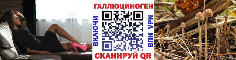 купить закладку  Николаевск-на-Амуре  Псилоцибиновые грибы Magic Shrooms 